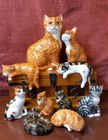 NEW BABBACOMBE CAT & KITTEN